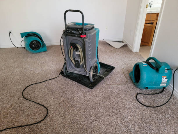 Best Water damage cleanup near me  in Toona, AL