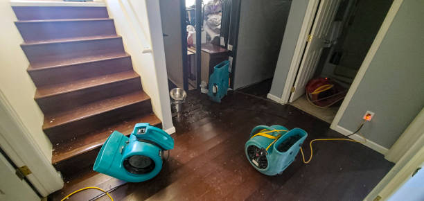 Best 24-hour water damage restoration  in Toona, AL