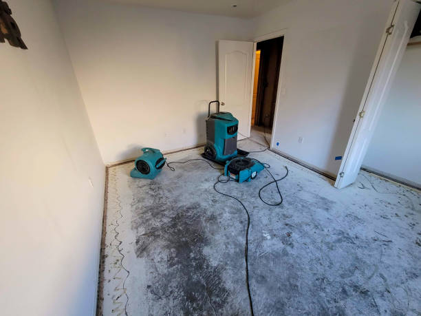 Best Water damage repair service  in Toona, AL