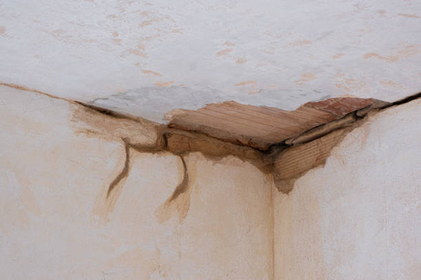  Toona, AL Water damage restoration Pros