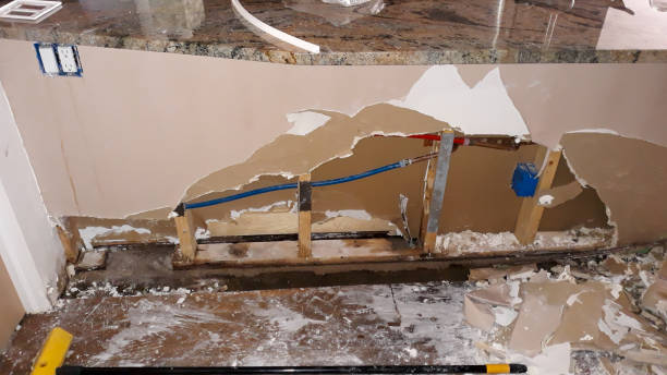 Best Local water damage restoration  in Toona, AL
