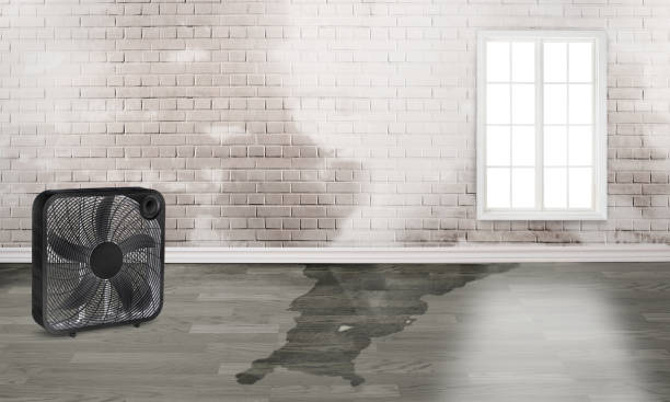 Carpet water damage restoration in AL
