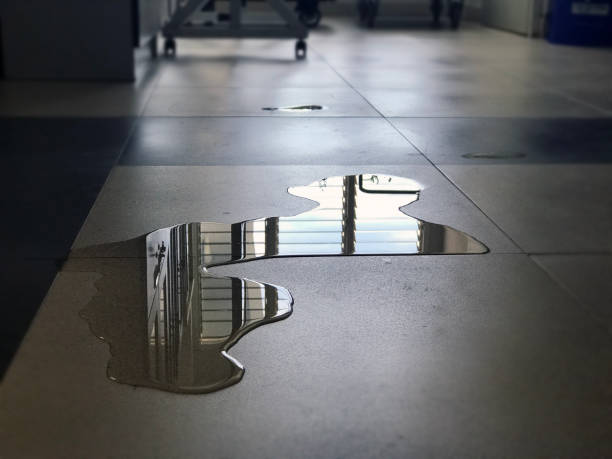 Best Commercial water damage restoration  in Toona, AL