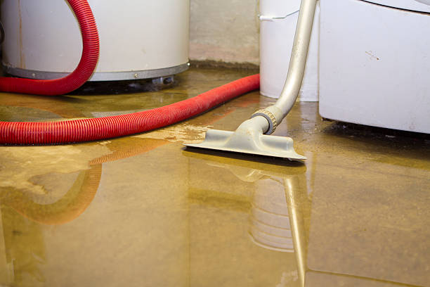 Best Ceiling water damage repair  in Toona, AL
