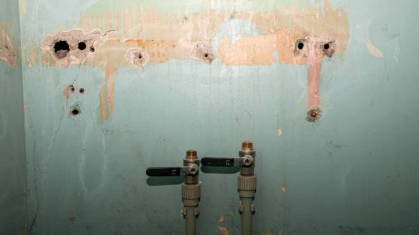 Best Sewage cleanup and water damage restoration  in Toona, AL