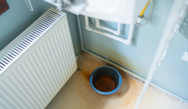 Best Local water damage restoration  in Toona, AL