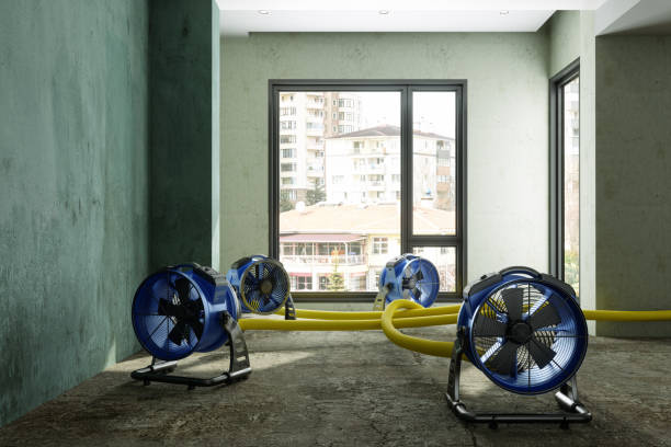 Best Flood restoration services  in Toona, AL