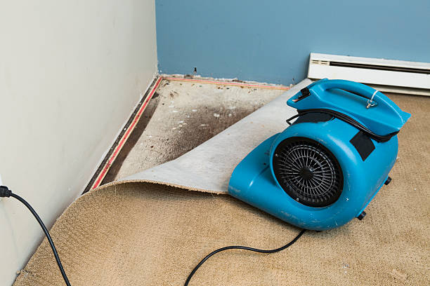 Best Water damage contractors near me  in Toona, AL